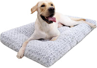 Pet Beds
