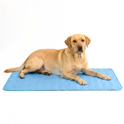 ArcticPaw™ Cooling Pad