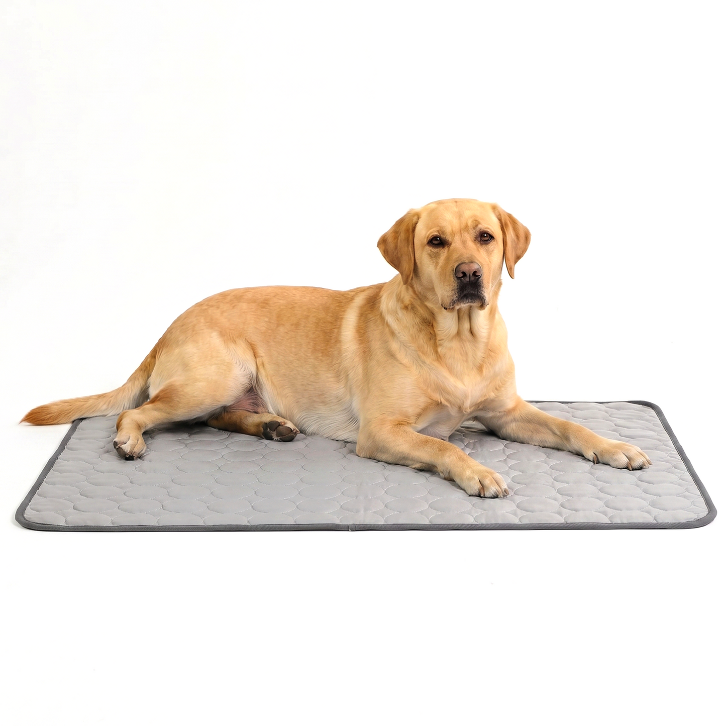 ArcticPaw™ Cooling Pad