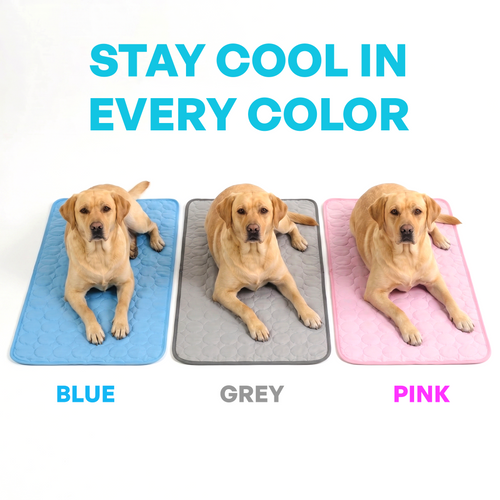 ArcticPaw™ Pad