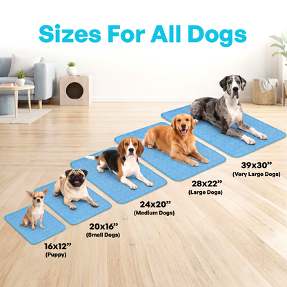 ArcticPaw™ Cooling Pad