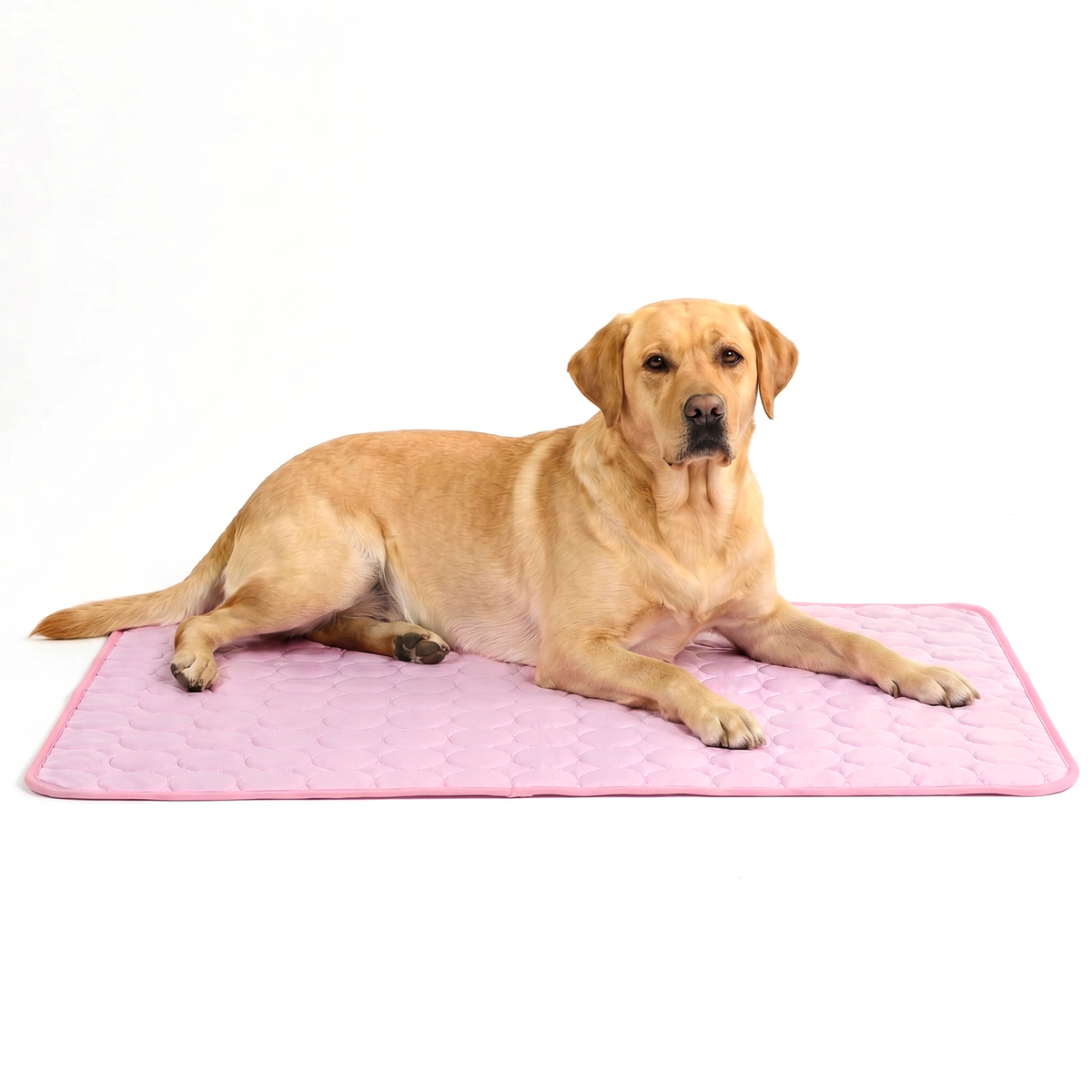 ArcticPaw™ Cooling Pad